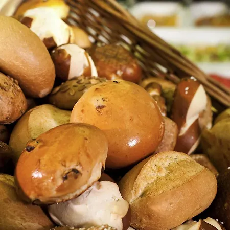 Mercure Residenz Frankfurt Messe Hotel